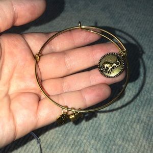 Save the Elephants bracelet!!!
